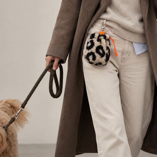 Walk Bag - Teddy - Leo