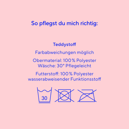 Wärmflache Teddy